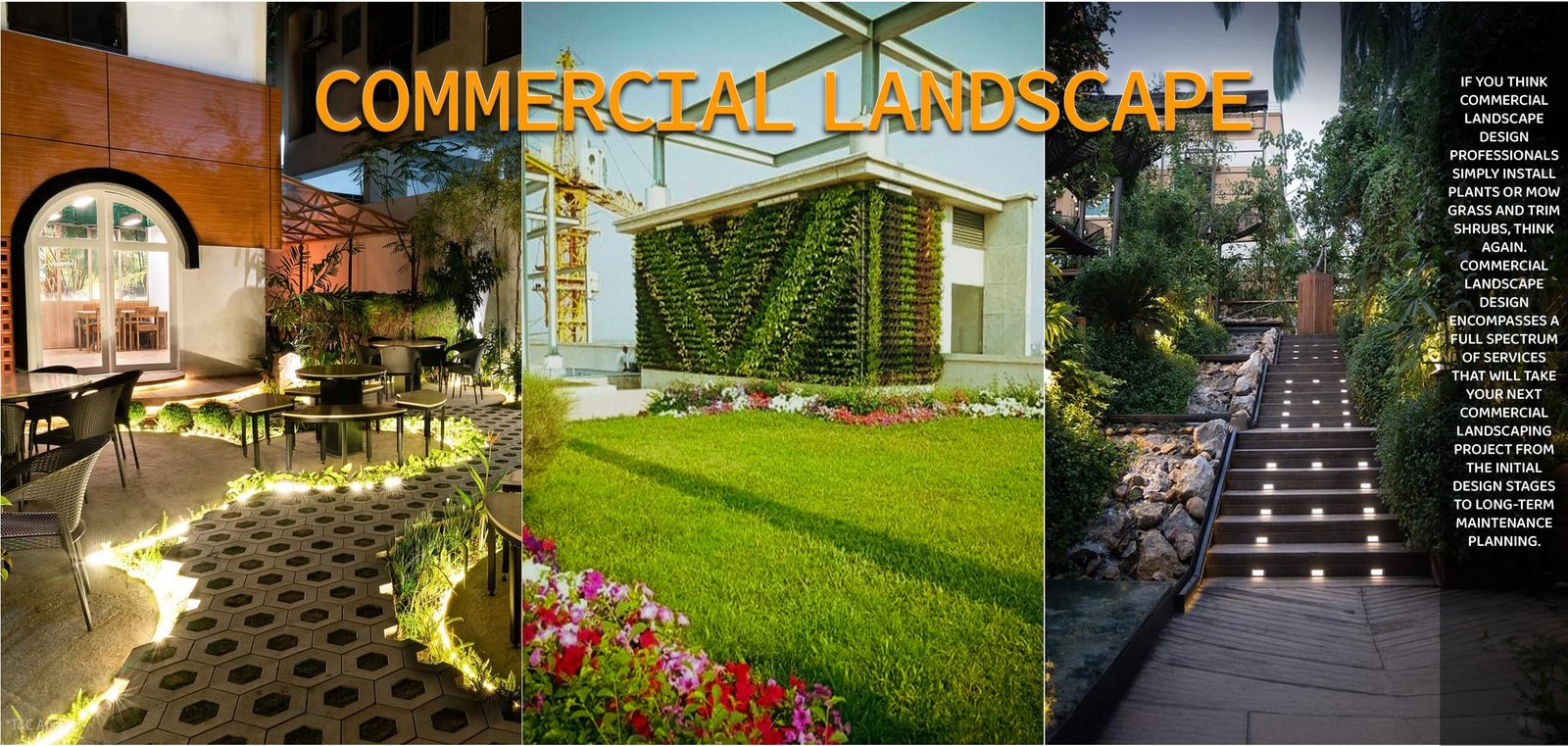 Commercial Landscape