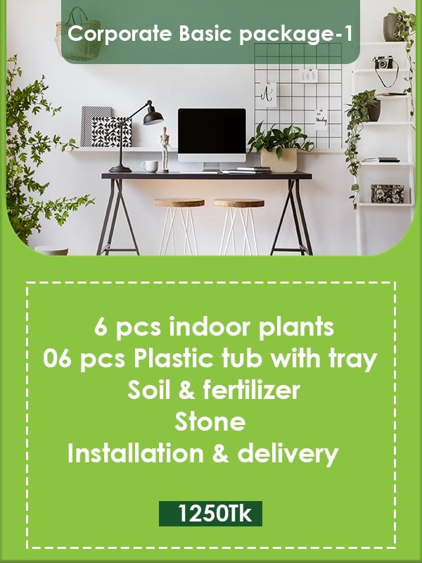 Corporate Gardening Package-1 Image