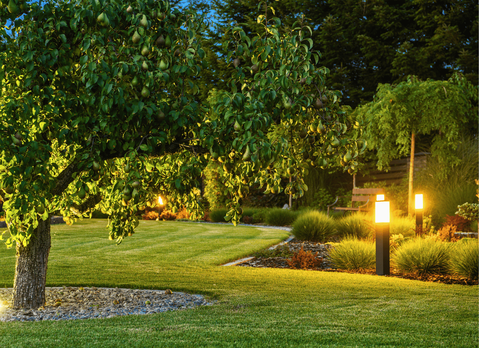 Garden Light Price in Bangladesh