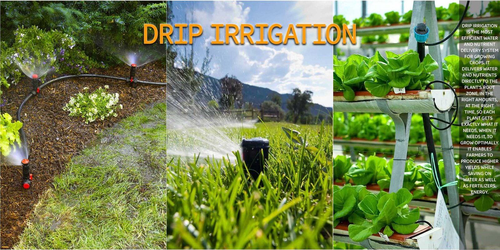 Drip irrigation