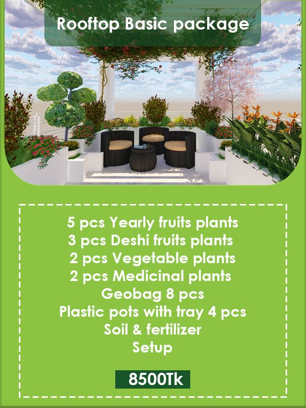 Rooftop Basic Package Image
