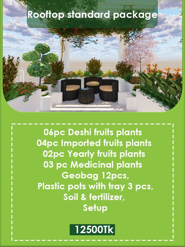 Rooftop Standard Package Image