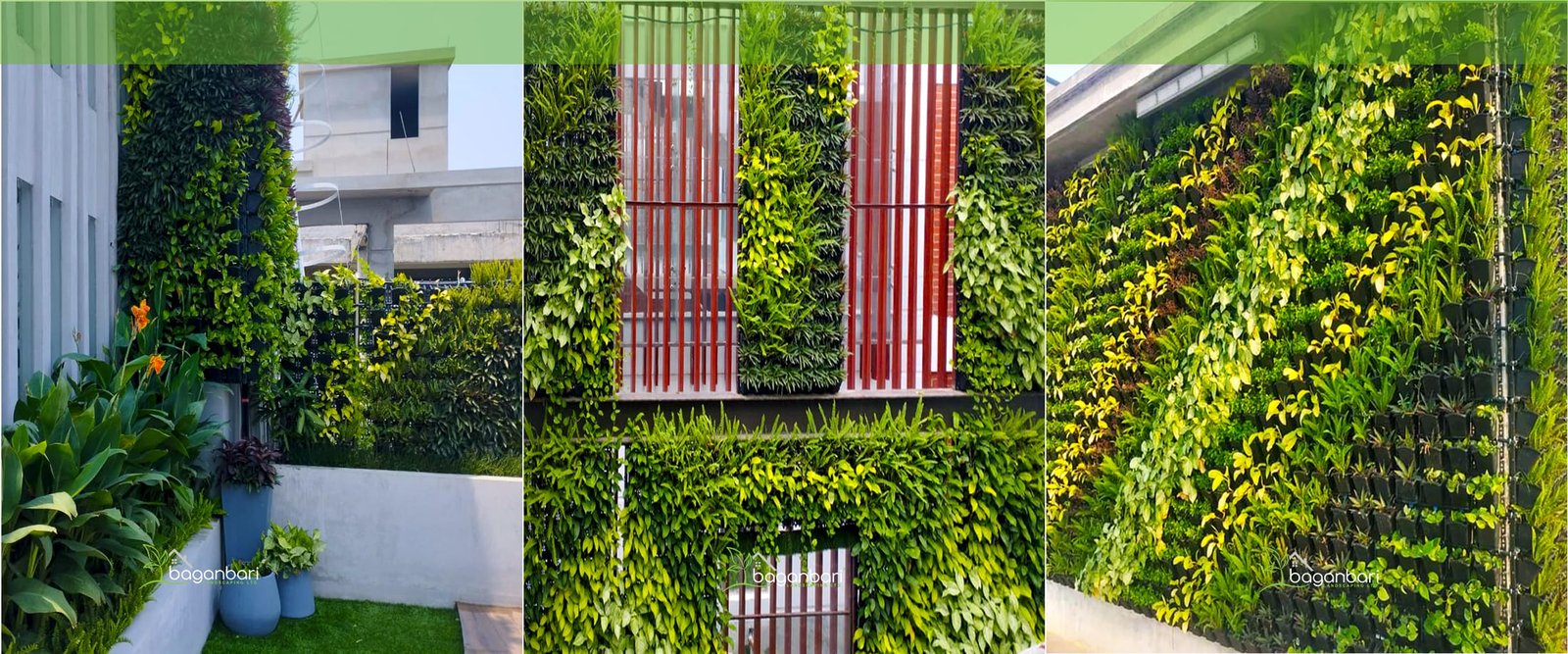 Vertical garden
