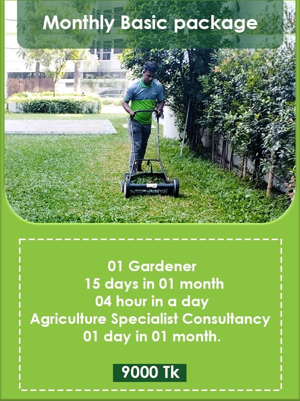 Monthly Basic Maintenance Service Package Image