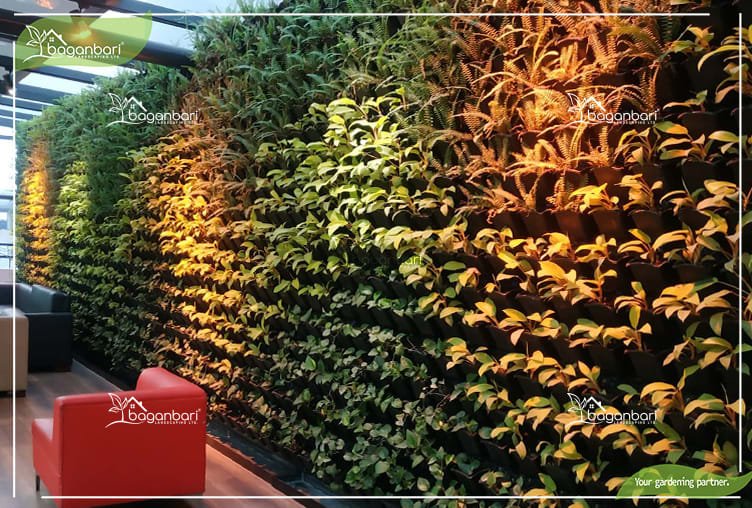 Vertical garden