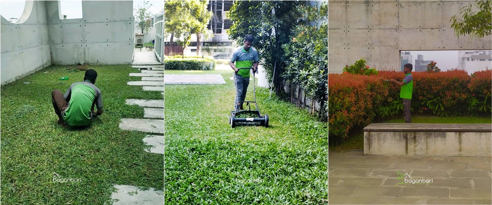 Garden Maintainance Service In Bangladesh Image