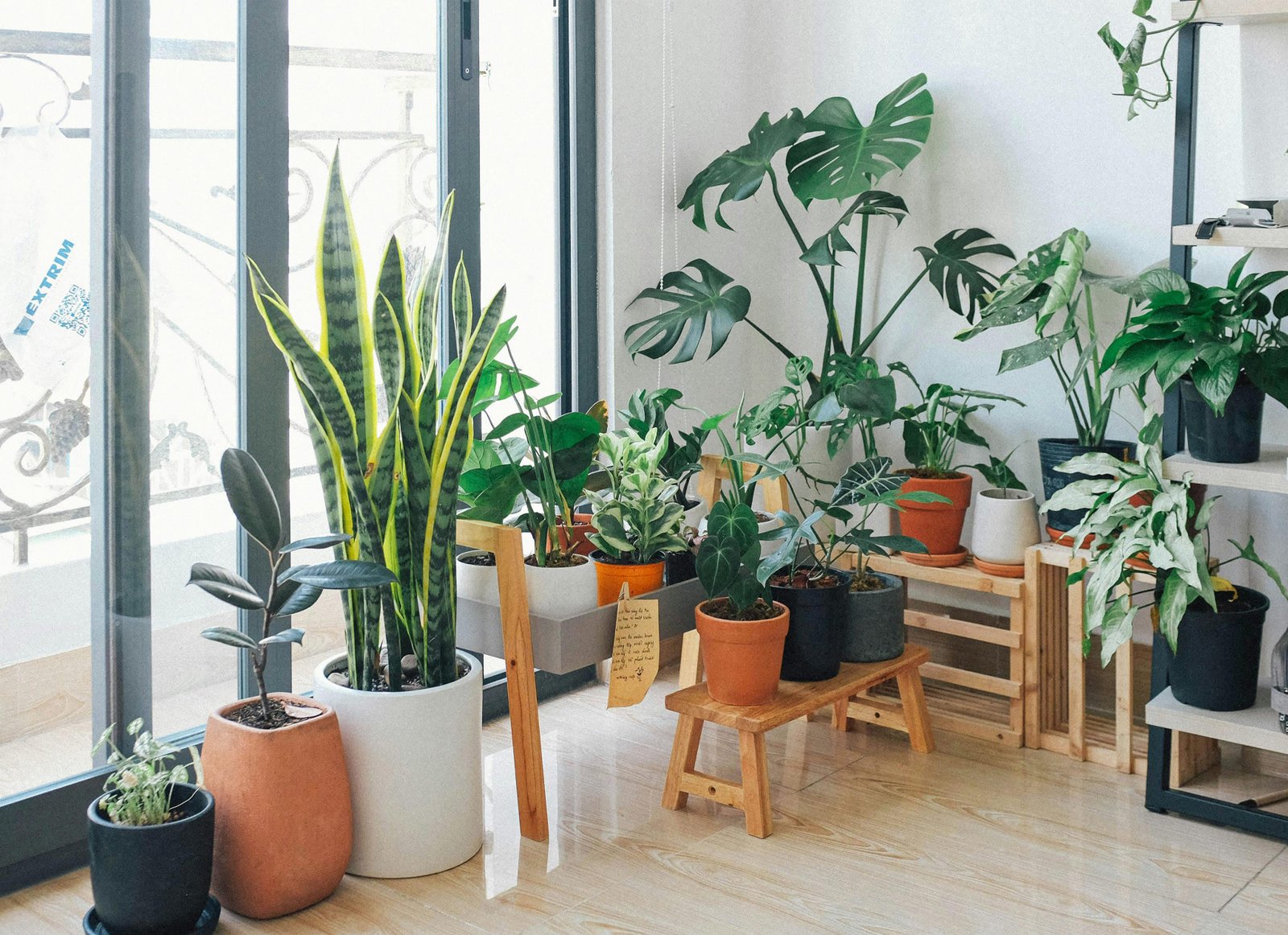 Indoor Garden