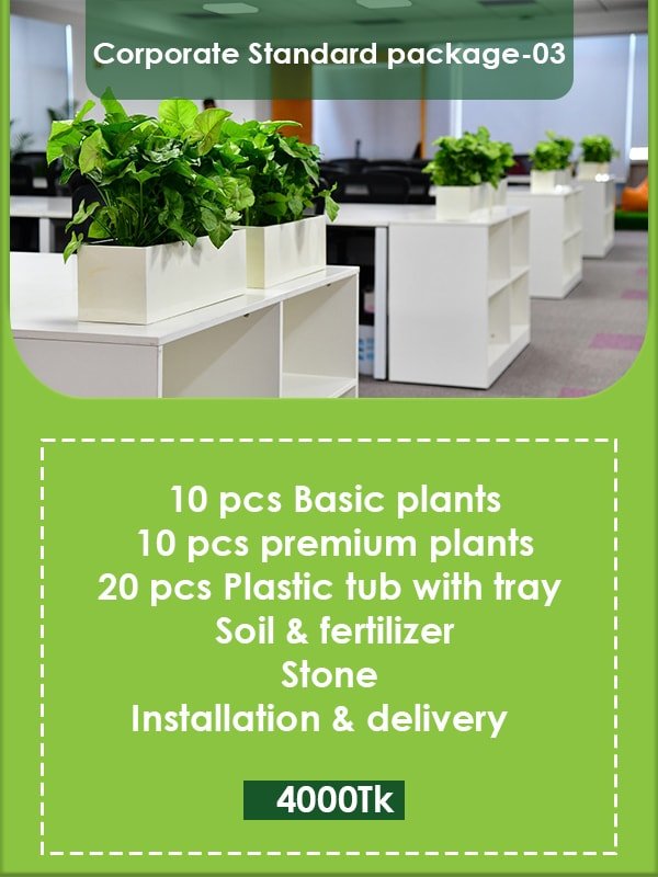 Corporate Standard Package 03 Image