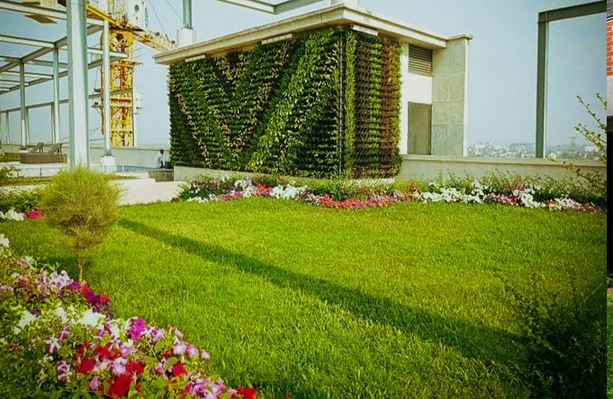 Commercial Landscape