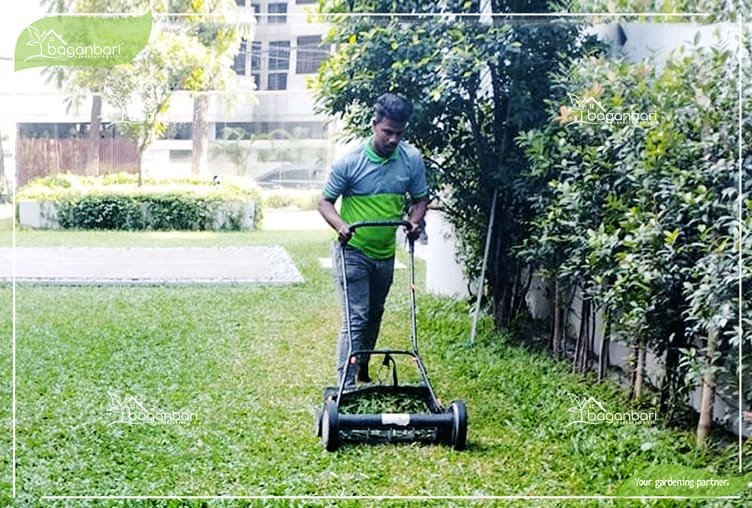 Garden Maintenance