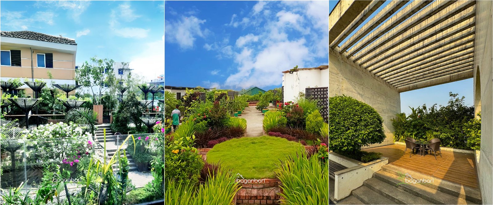 Rooftop Gardening Package Image