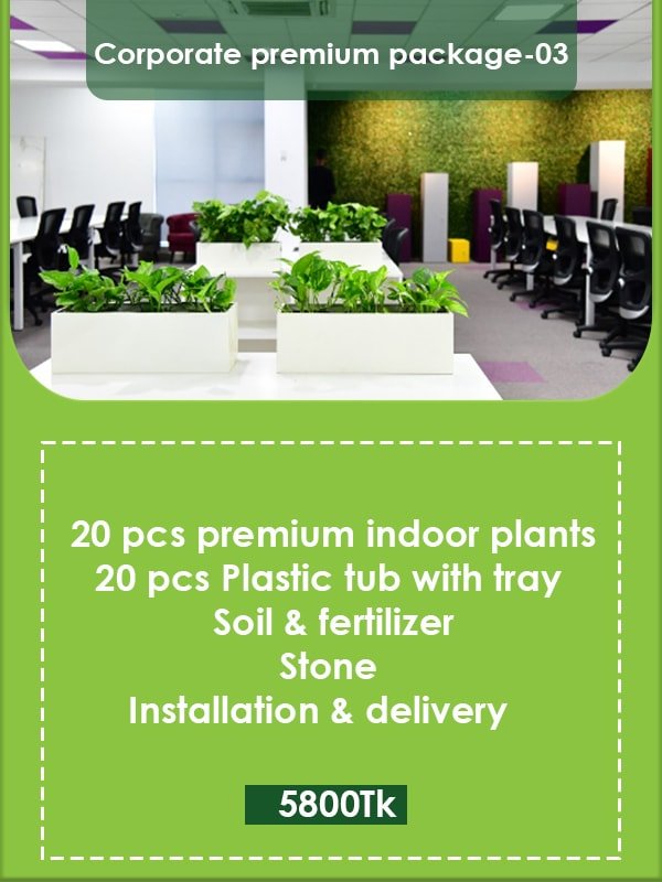 Corporate Premium Package 03 Image