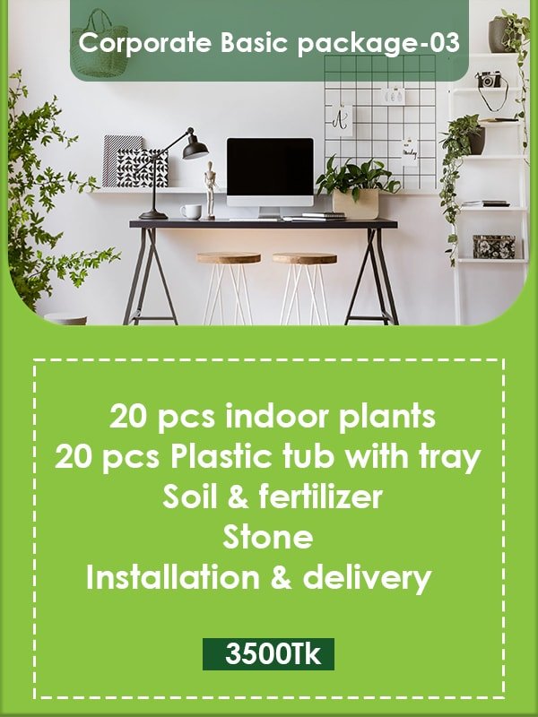 Corporate Gardening Package 3 Image