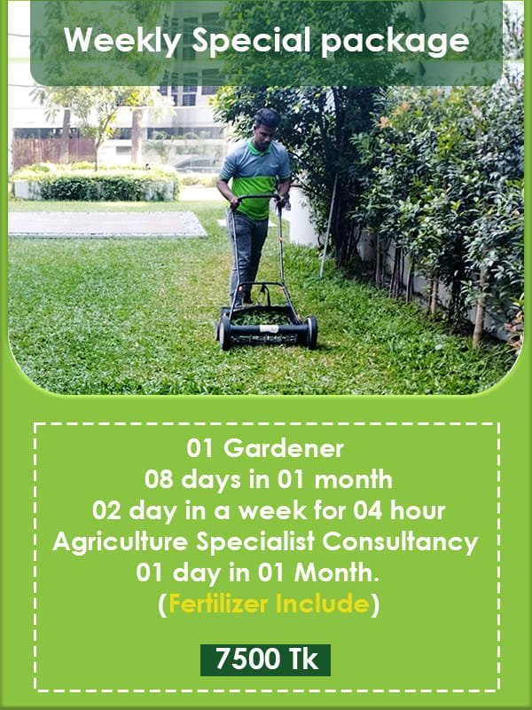Weekly Special Maintenance Service Image