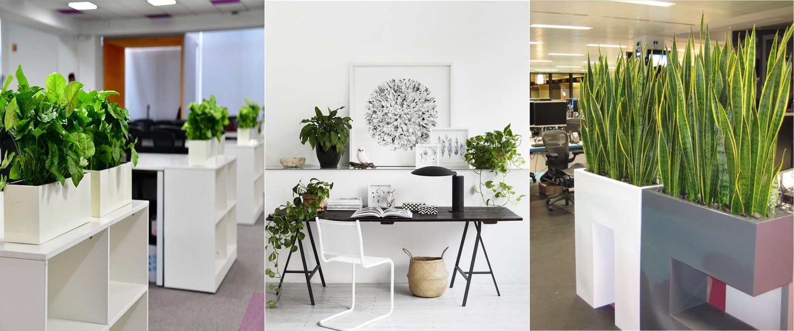 Corporate Gardening Package Image