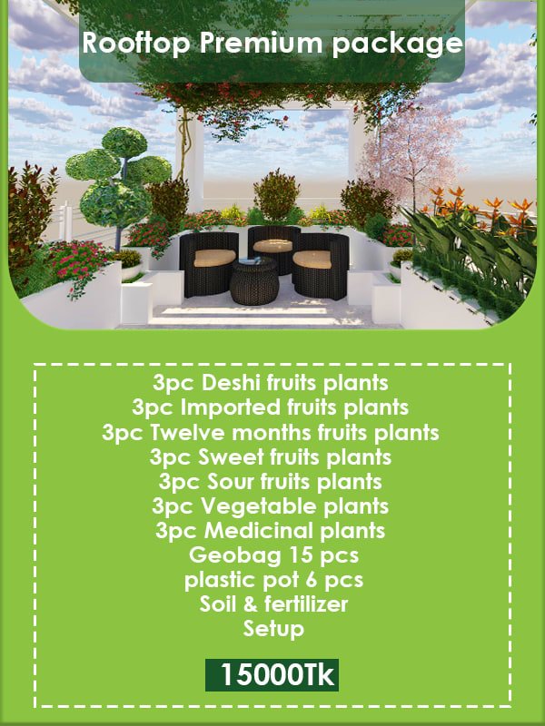 Rooftop Premium Package Image