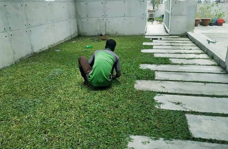 Garden Maintenance