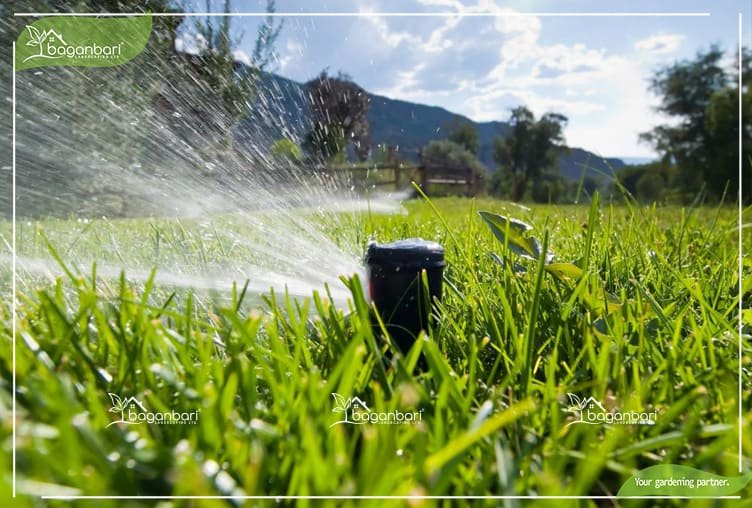 Drip Irrigation