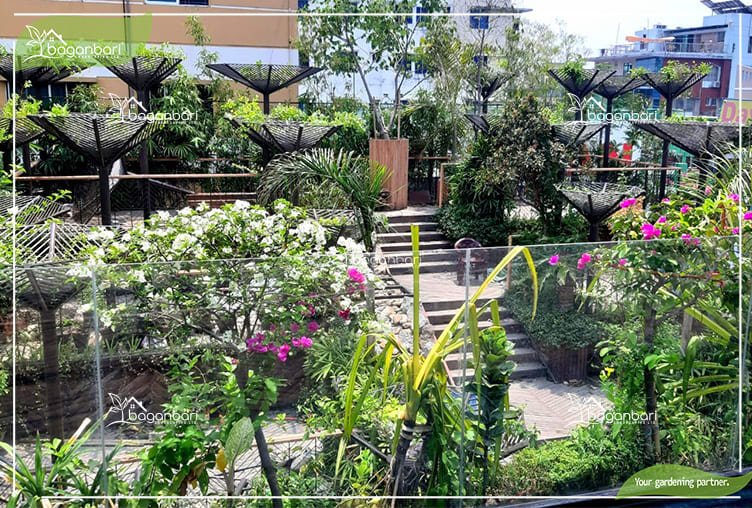 Rooftop Gardening