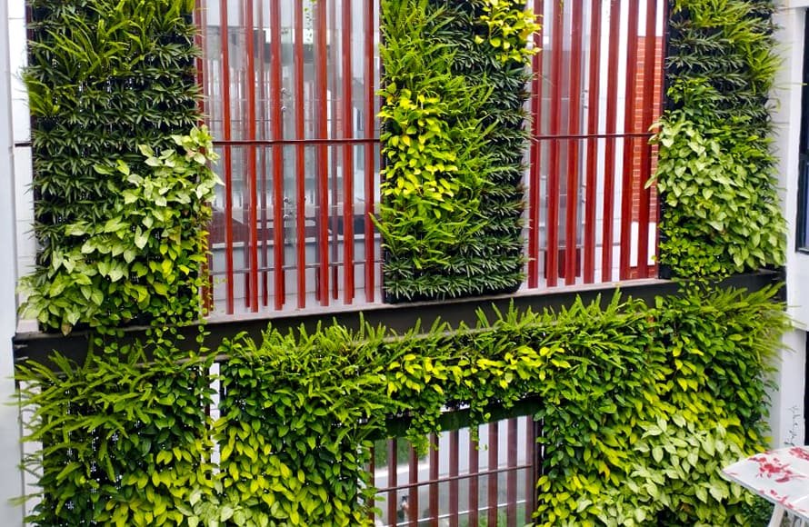 Vertical garden